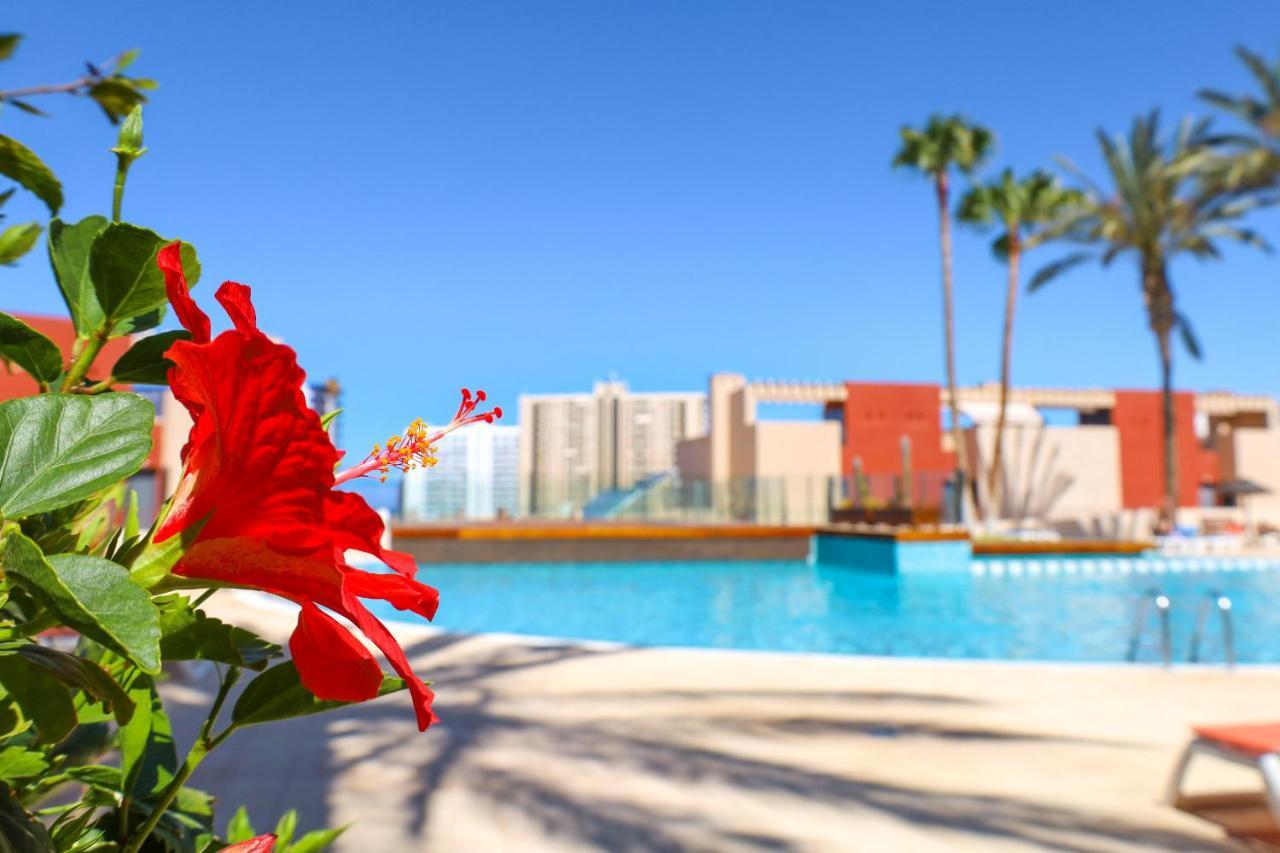 Chill In Paradise بلايا بارايسو المظهر الخارجي الصورة